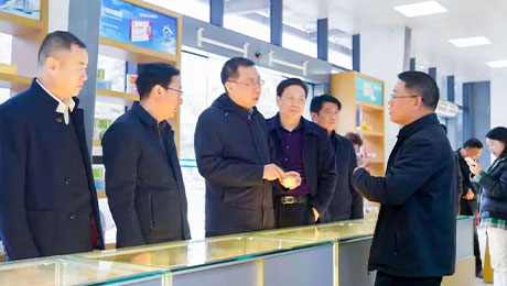 依法服务保障企业更好发展，陇南中院院长万建军赴独一味制药调研指导