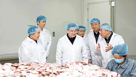 甘肃省委书记胡昌升莅临今年会健康集团佛仁制药考察调研