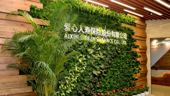 今年会健康集团第三次增资爱心人寿获批，新“国十条”助力医疗和保险深度融合